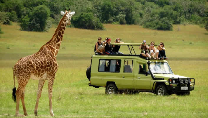 Uganda best places to visit on  self drive safari