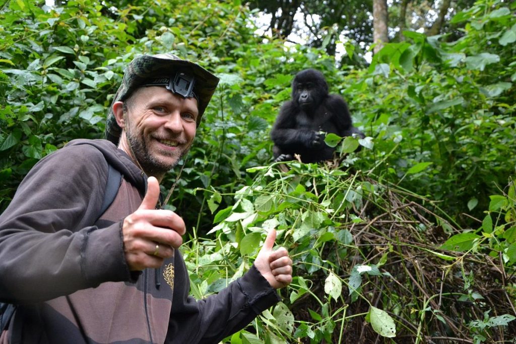 gorilla tours uganda