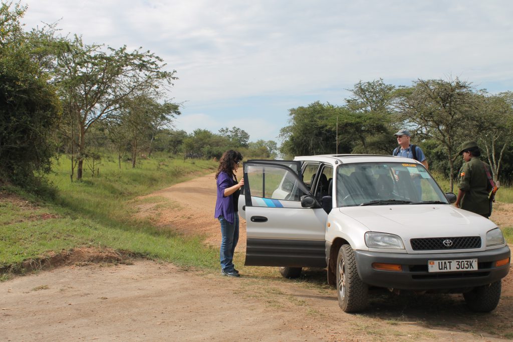 Efficiency of a 4x4 RAV4 Car Rental