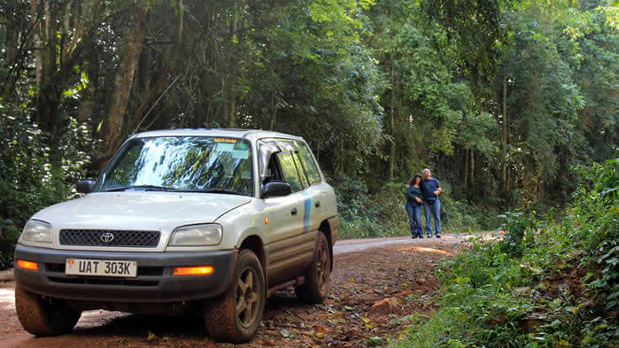 self drive and car rental in a RAV4 in Uganda.