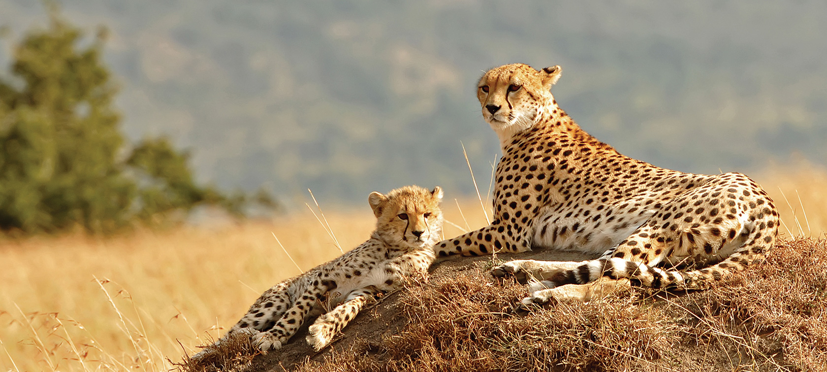 Kidepo valley national park