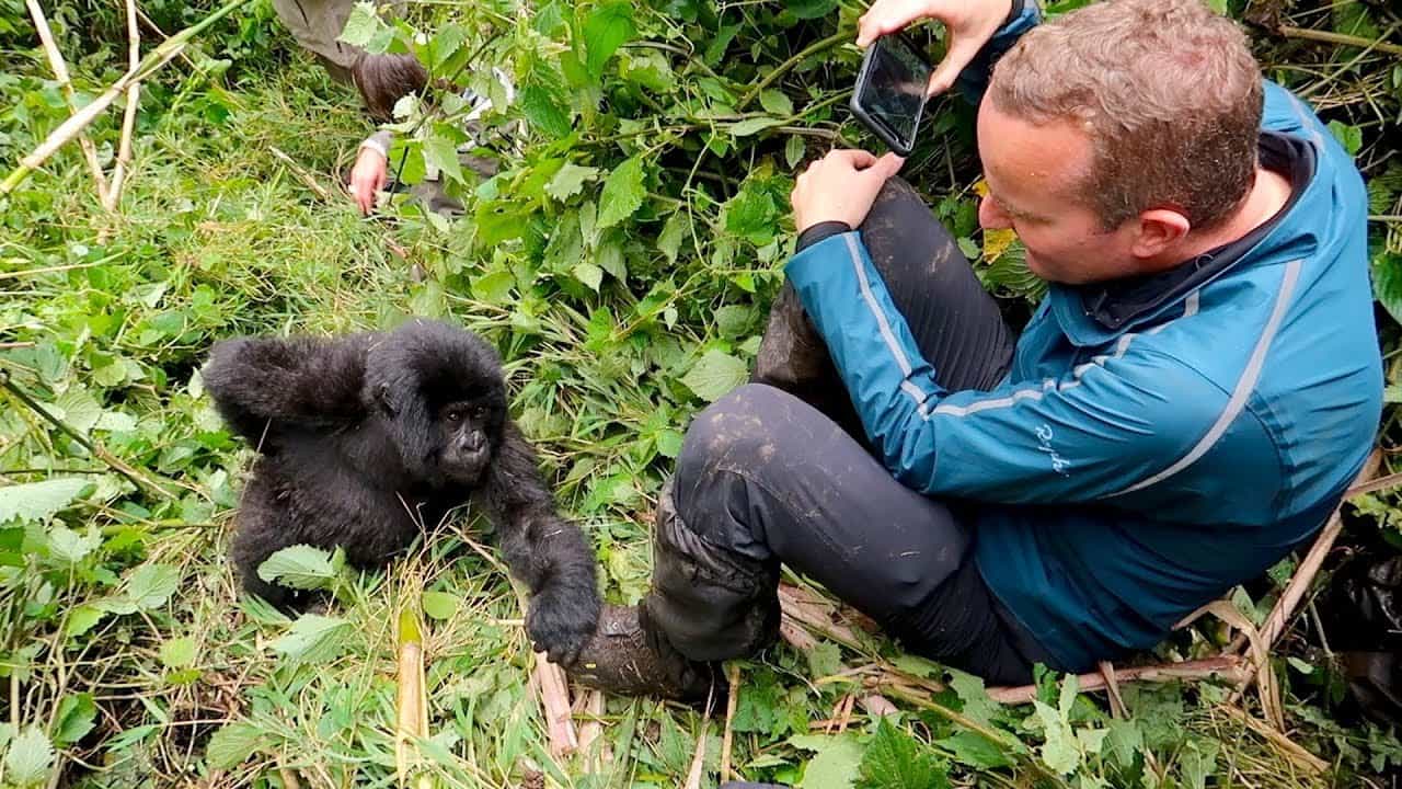 gorilla Trekking in Africa