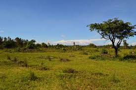 Climate and Season of Uganda| 4x4 Uganda car Rentals