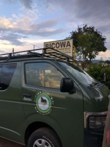 safari van