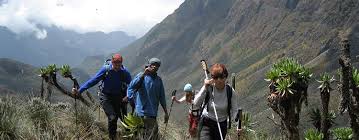 Exploring Uganda's Natural Wonders: A Guide to Hiking Adventures