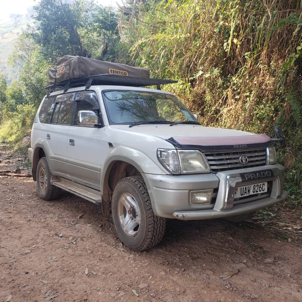Understanding Vehicle Entry Fees for Uganda's National Parks