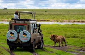 Game Drives