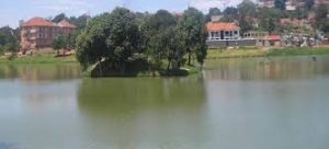 The beauty of Kabakas lake in Uganda