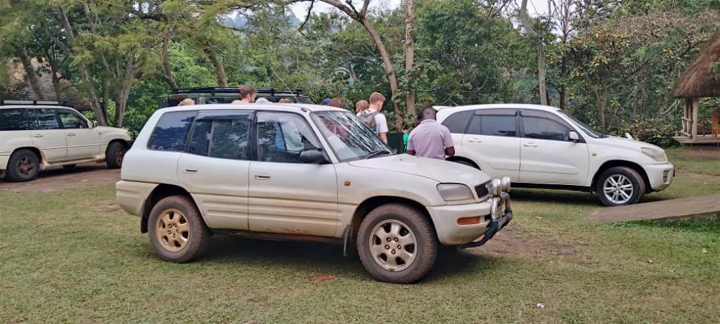 8-Day Self-Drive Safari in Uganda