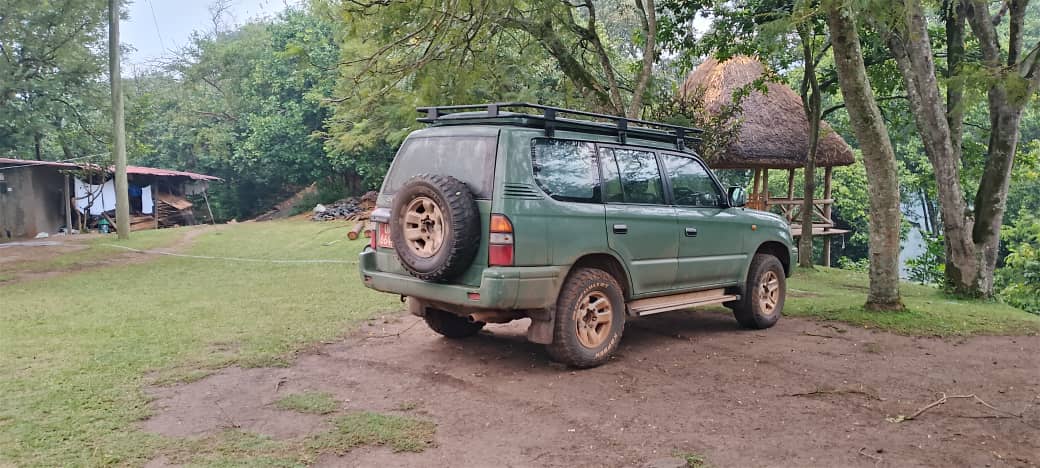 10-Day Uganda Self drive Wildlife Safari Adventure