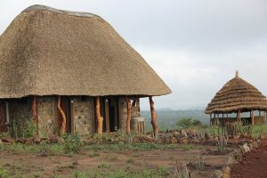 The Best Campsites & Lodges for Self-Drivers in Uganda