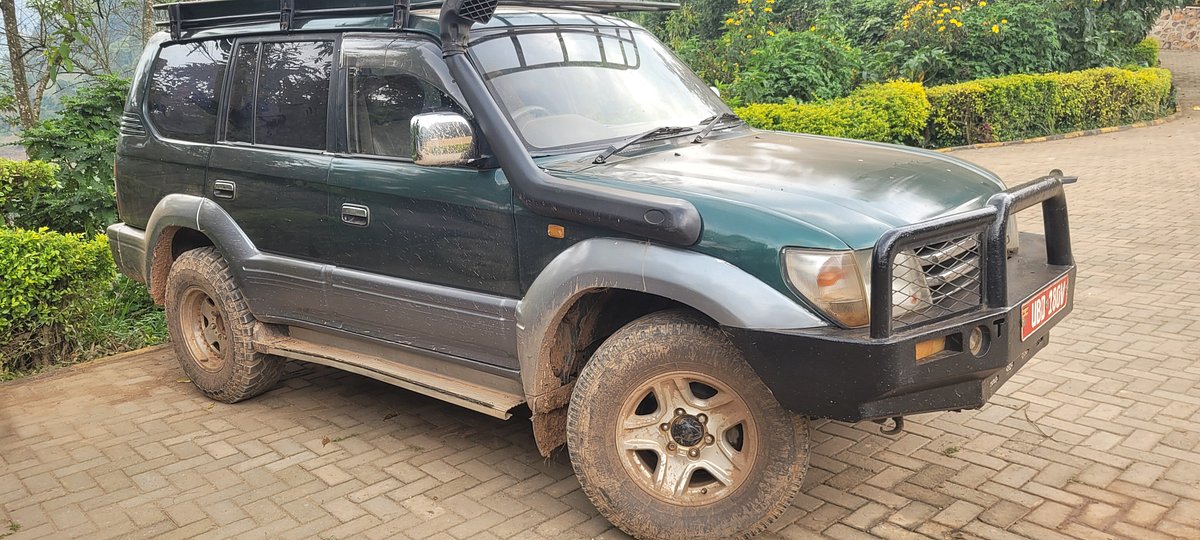 Renting a 4x4 rental car in Uganda for gorilla trekking & safari