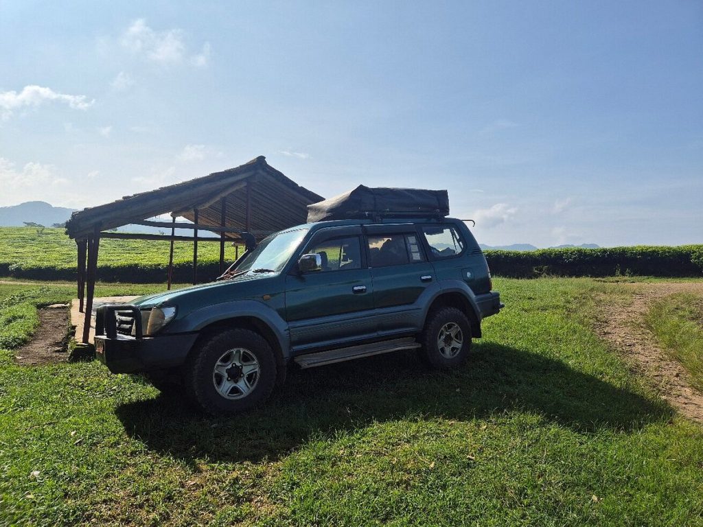 Vehicles for Road Trip Safaris