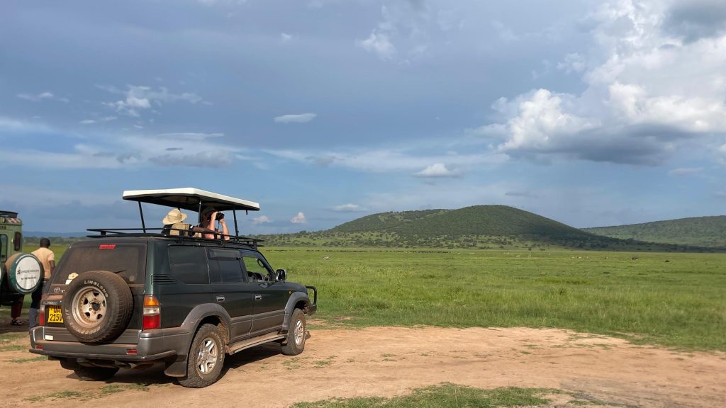 enjoyment on self drive safari