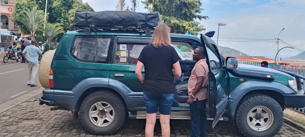 Rent a Car and Drive