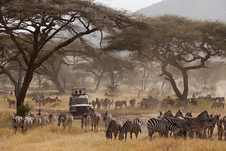 photography rush hour