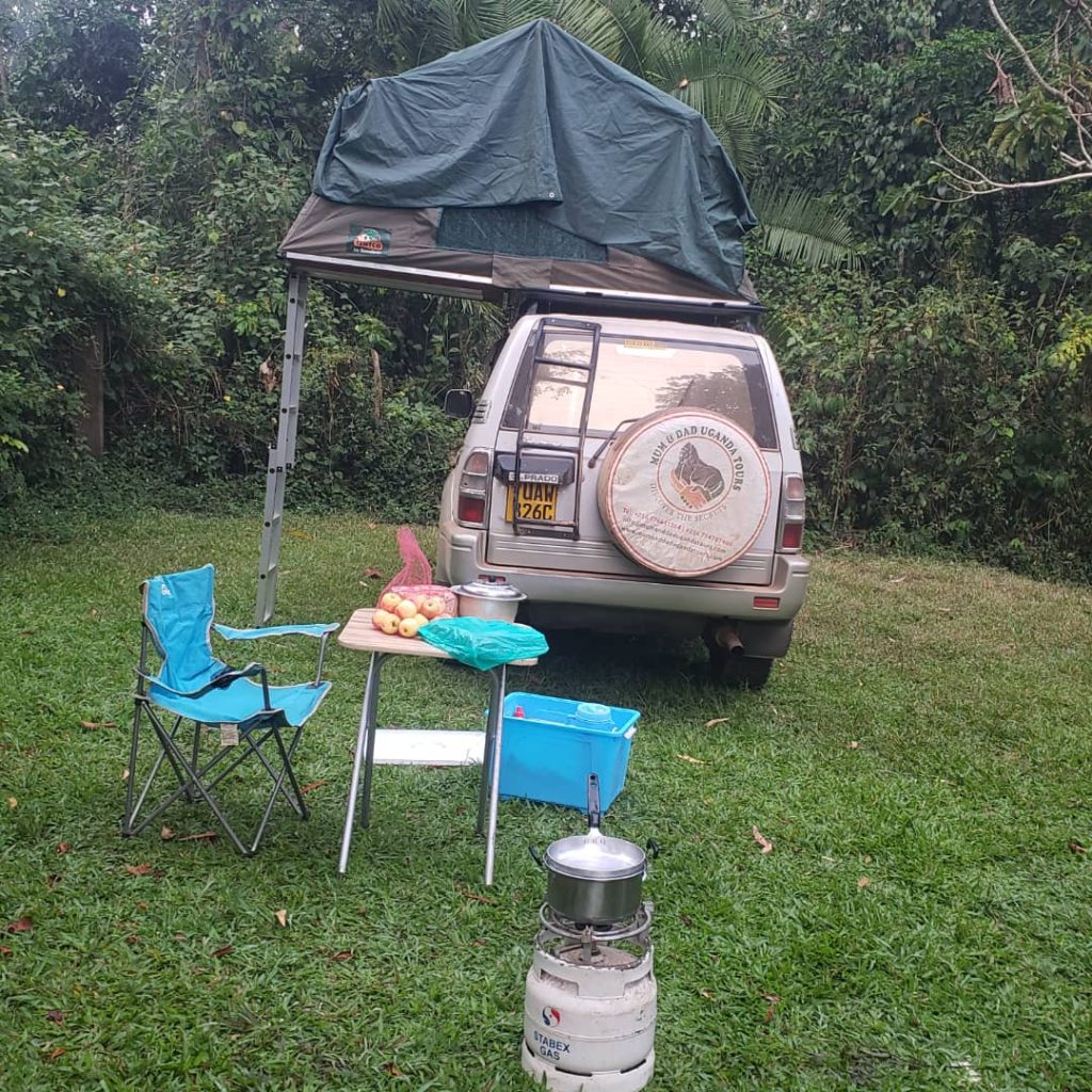 21-Day Uganda Camping Safari with Roof Tent