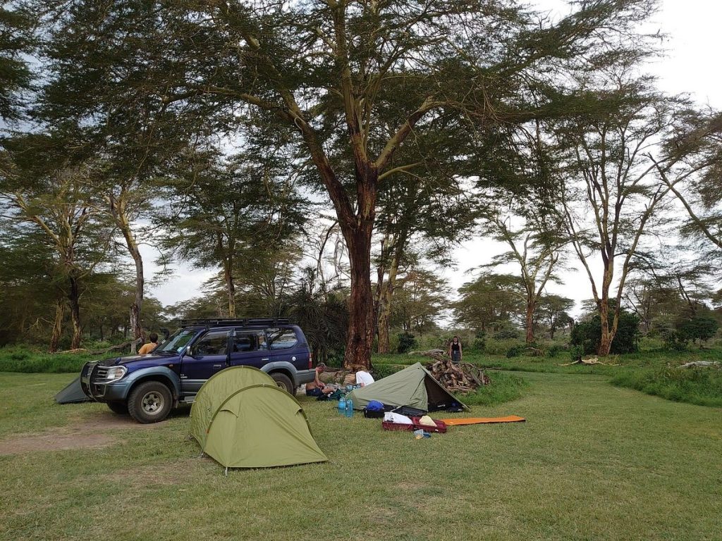 tx with pop -up roof