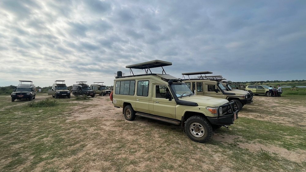 Discover The Magic Of Murchison Falls on a Uganda Family Safari