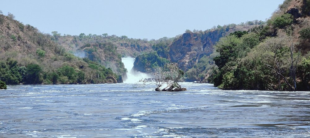 Discover The Magic Of Murchison Falls on a Uganda Family Safari 