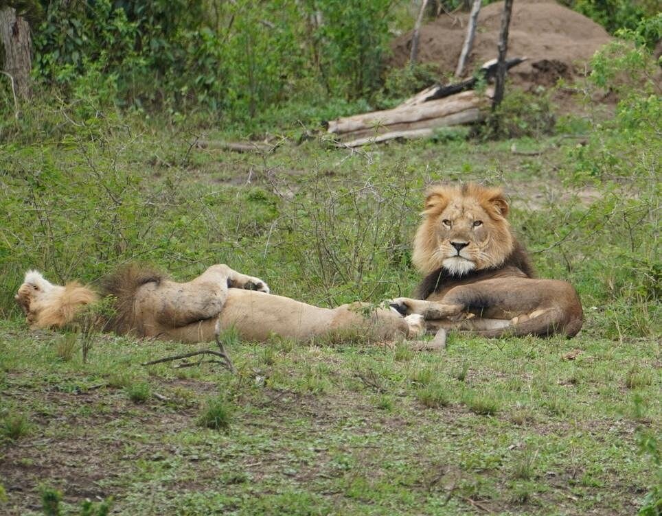 Discover The Magic Of Murchison Falls on a Uganda Family Safari 