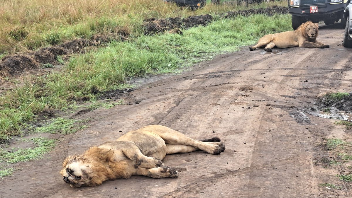 The Ultimate Guide to Road Distances in Uganda: