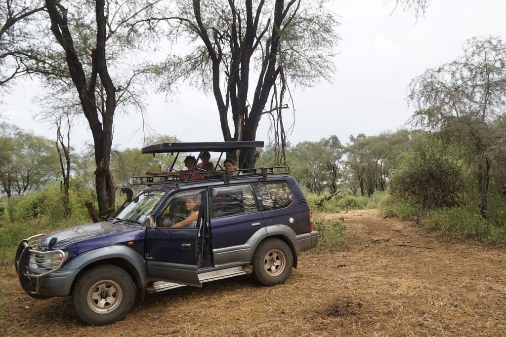 pop up land cruiser tx