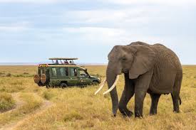 Amboseli National Park