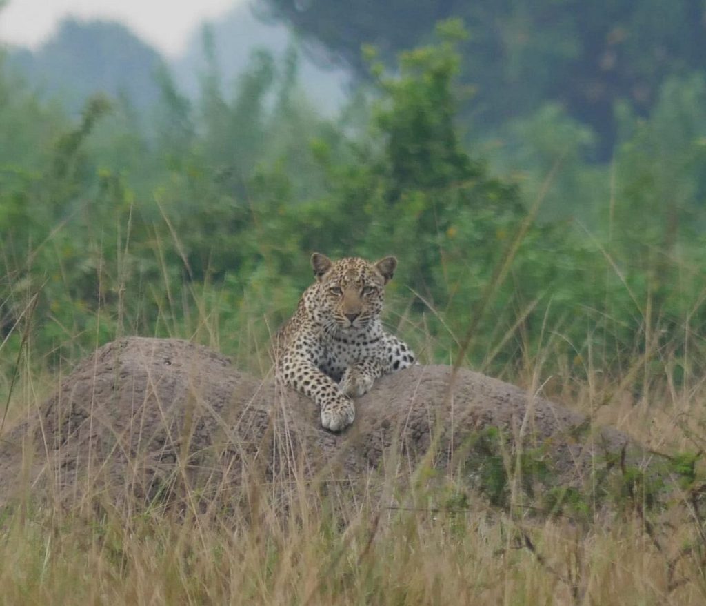 Kidepo Valley National Park