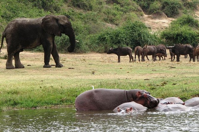 Return Safari Uganda