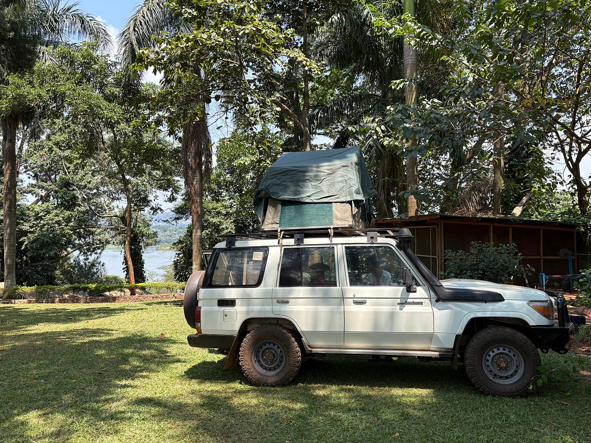 Kenya vs Uganda Self-Drive Safari- What Drivers Should Know Kenya vs Uganda Self-Drive Safari: What Drivers Should Know